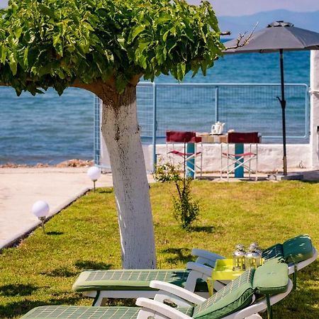 Vila Kiko, The Coastline House Kato Achaia Exteriér fotografie