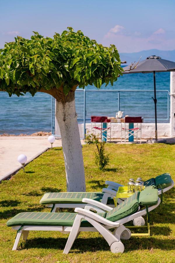 Vila Kiko, The Coastline House Kato Achaia Exteriér fotografie